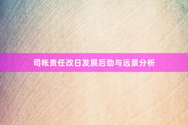 司帐责任改日发展后劲与远景分析